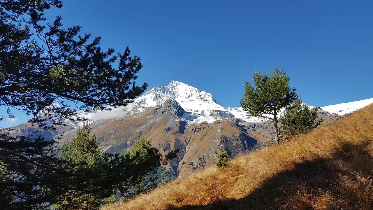 Hébergement de vacances Chalet Ciamarella Lanslevillard